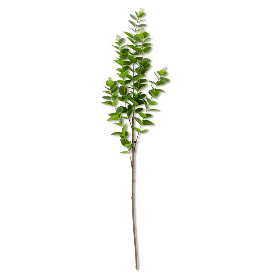 Gunnii Eucalyptus Stem - Dark Green, 38"