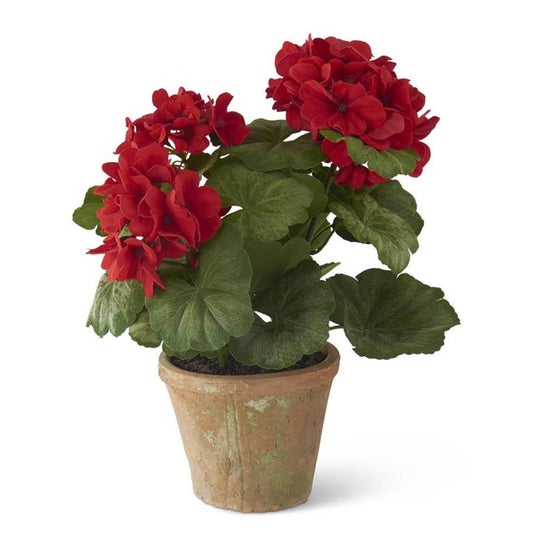 Potted Geranium In Clay Pot - Red, 14"
