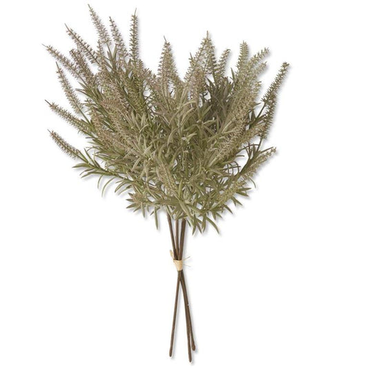 Light Green Lavender Bundle - 17.5" 3 Stems