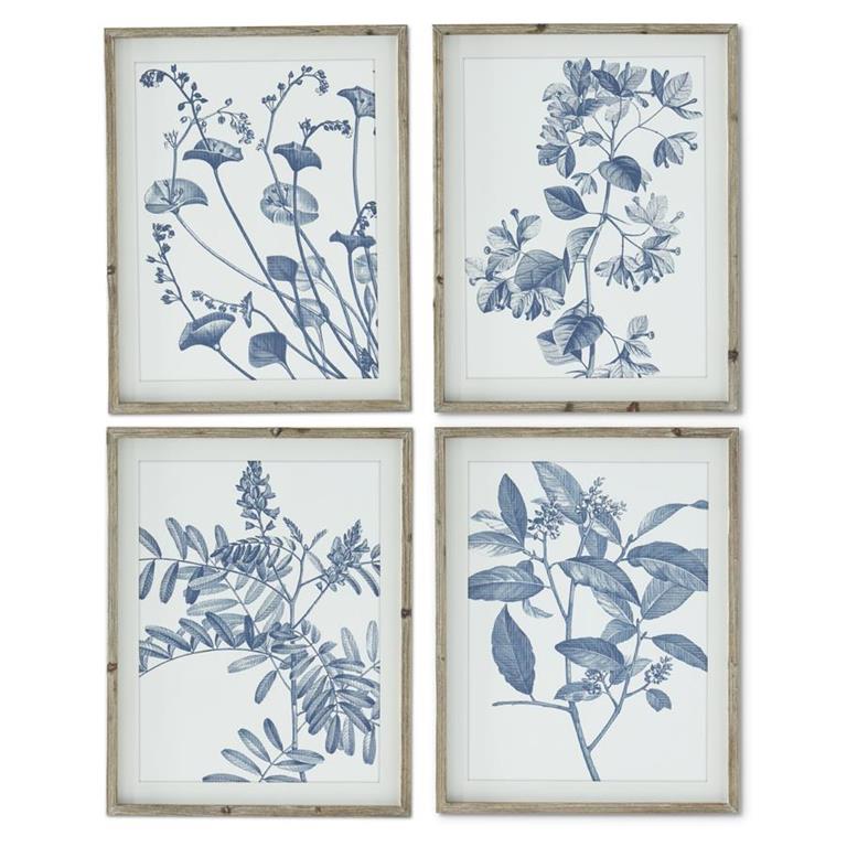 Wood Framed Botanical Prints, Blue and White, 27.75" Assorted