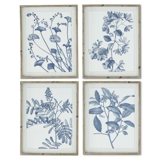 Wood Framed Botanical Prints, Blue and White, 27.75" Assorted