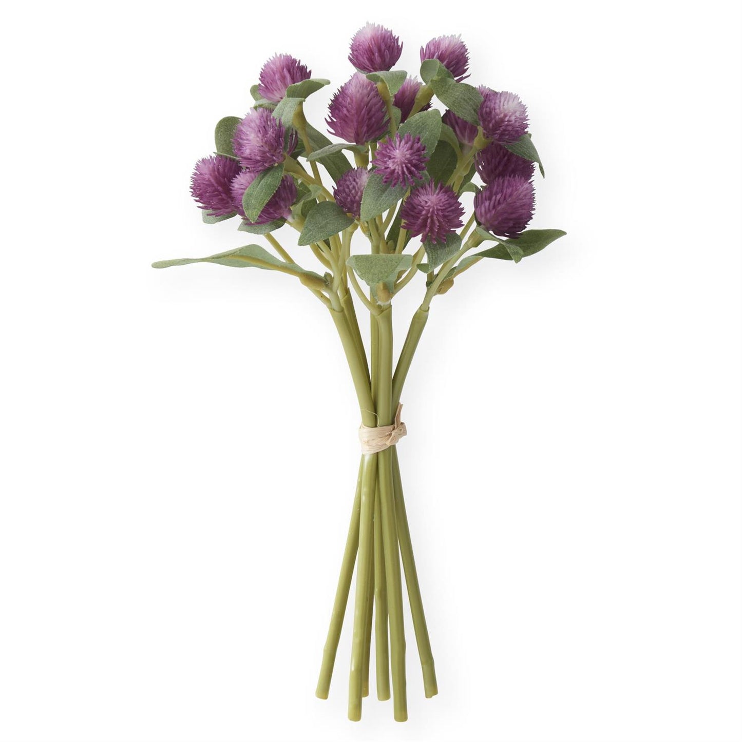Globe Amaranth Bundle with 6 Stems - Purple, 10"