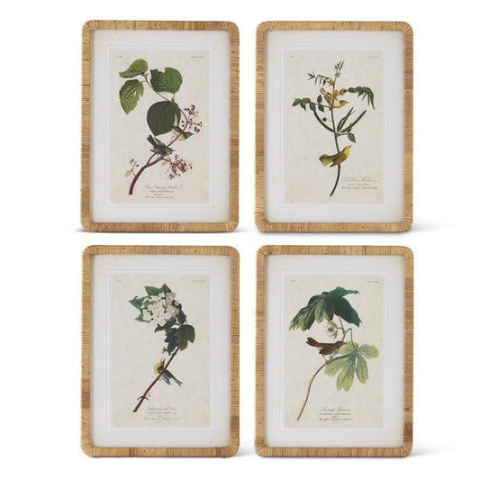 Bird and Botanical Rattan Framed Prints - 23.25