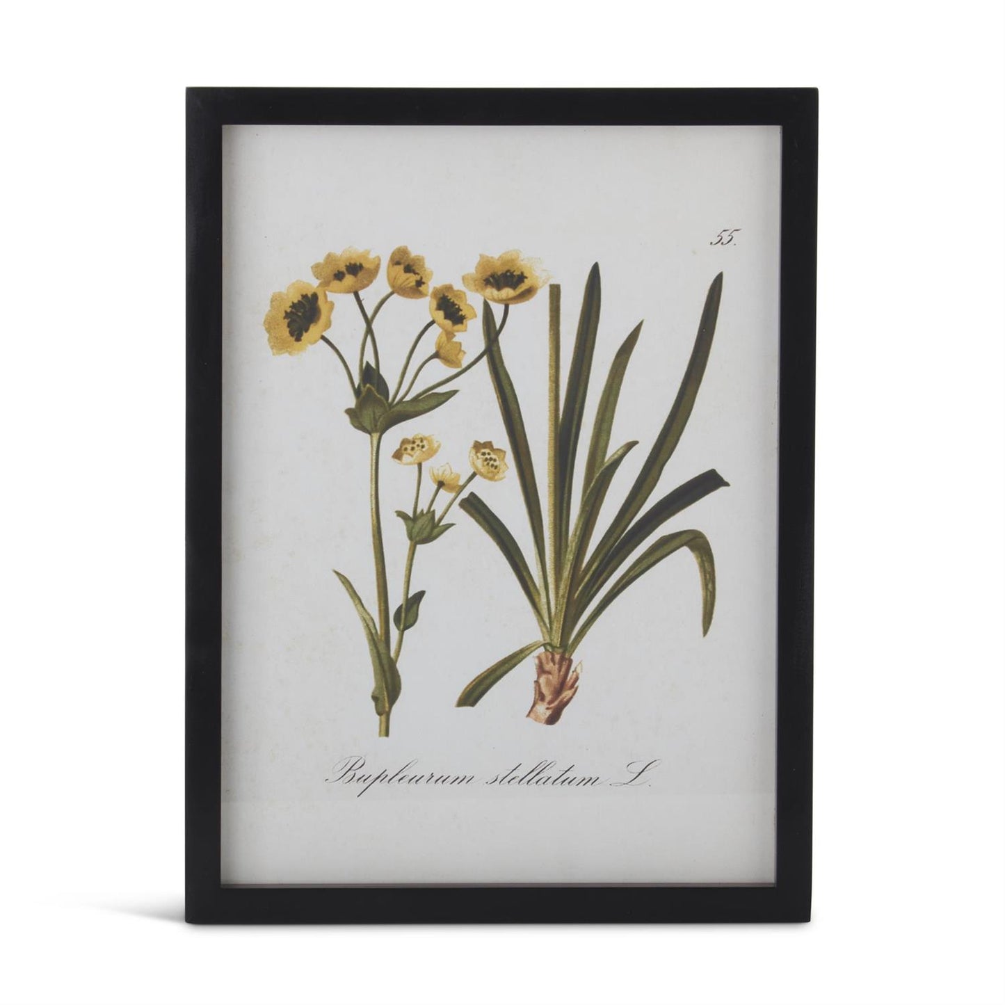 Black Framed Yellow Botanical Prints - 15.75"