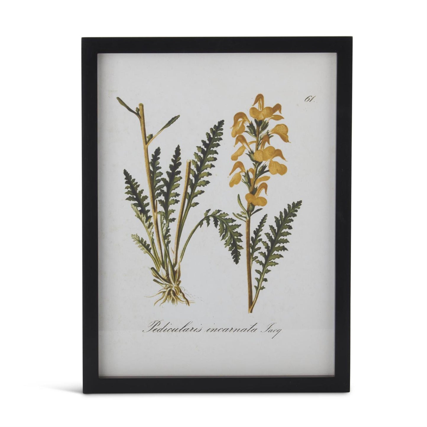 Black Framed Yellow Botanical Prints - 15.75"
