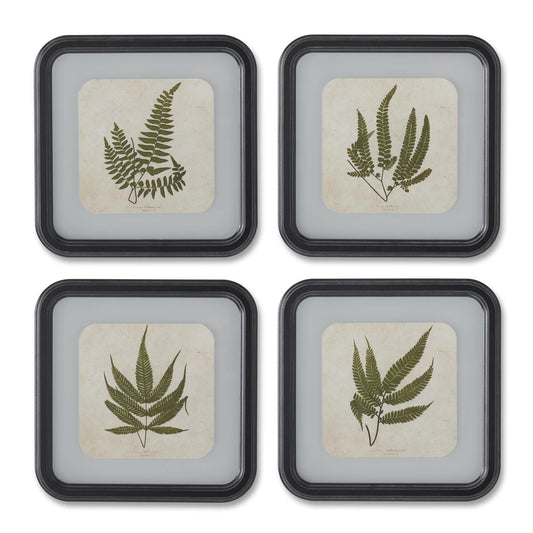Square Black Framed Fern Prints - 11.75", 4 Assorted Styles
