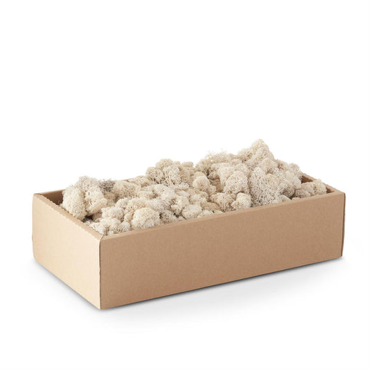 Reindeer Moss - Cream, 1lb
