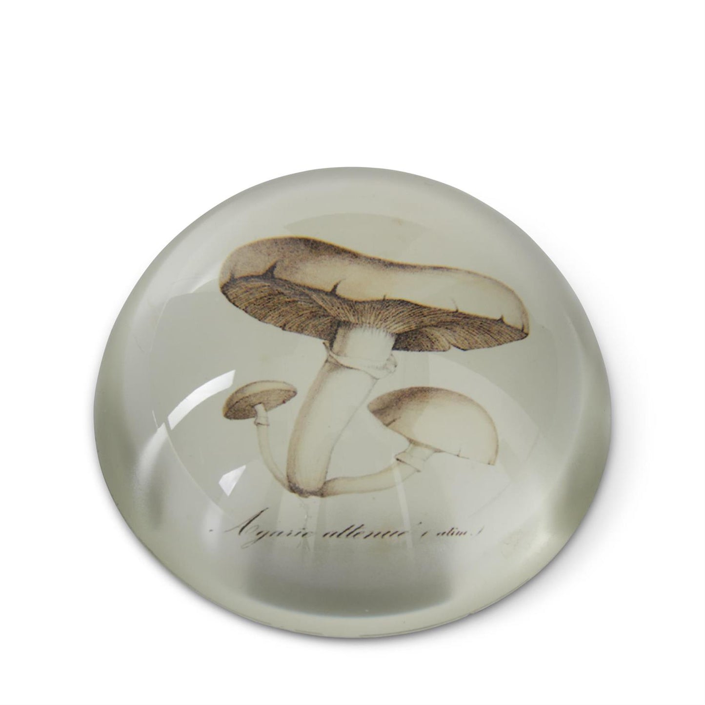 Glass Dome Paperweights - 3"