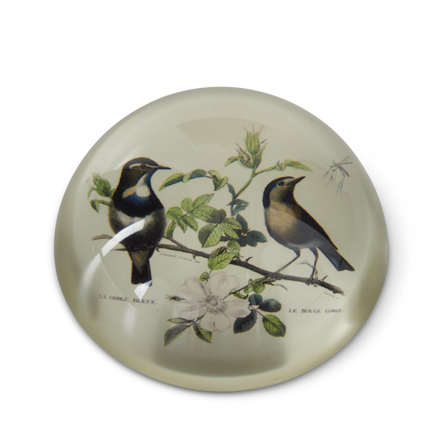 Glass Dome Paperweights - 3"