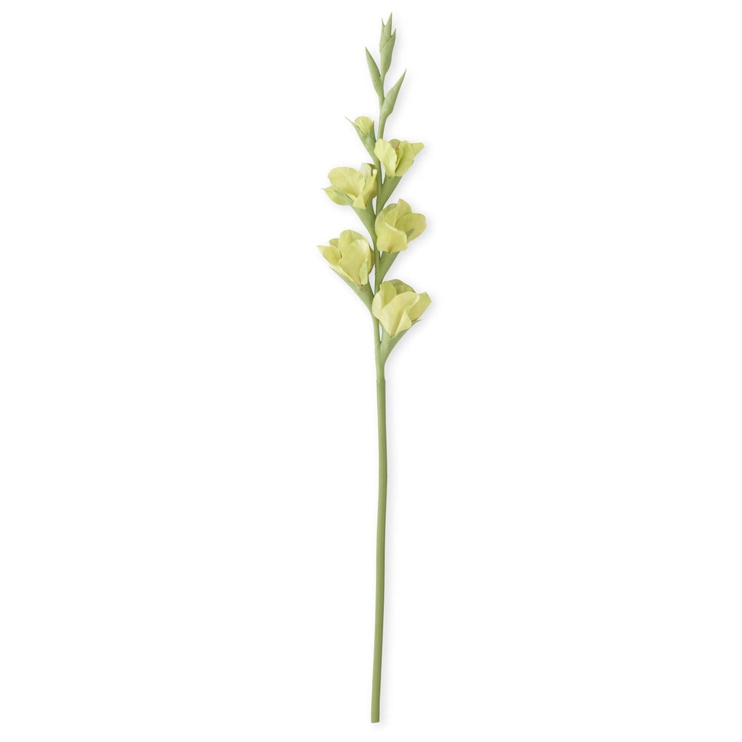 Real Touch Gladiolus - Green, 34"