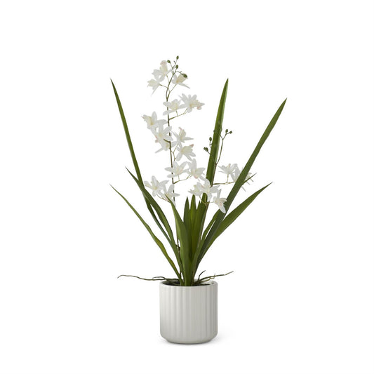 Real Touch White Orchid in White Ribbed Ceramic Pot - 21.75"