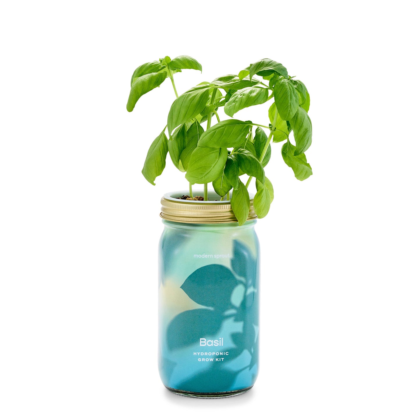 Herb Garden Jar: Basil