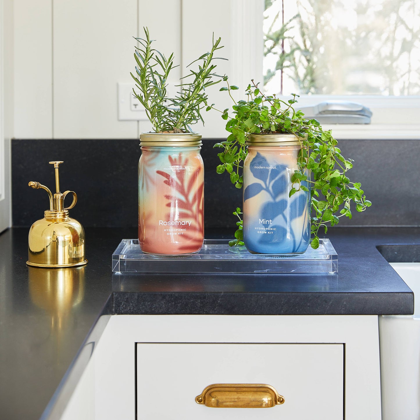 Herb Garden Jar: Rosemary