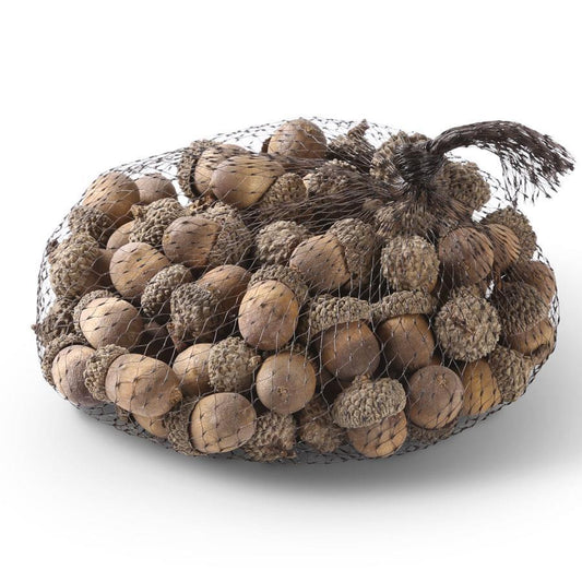 Bag of 75 Wood Acorns - Cream