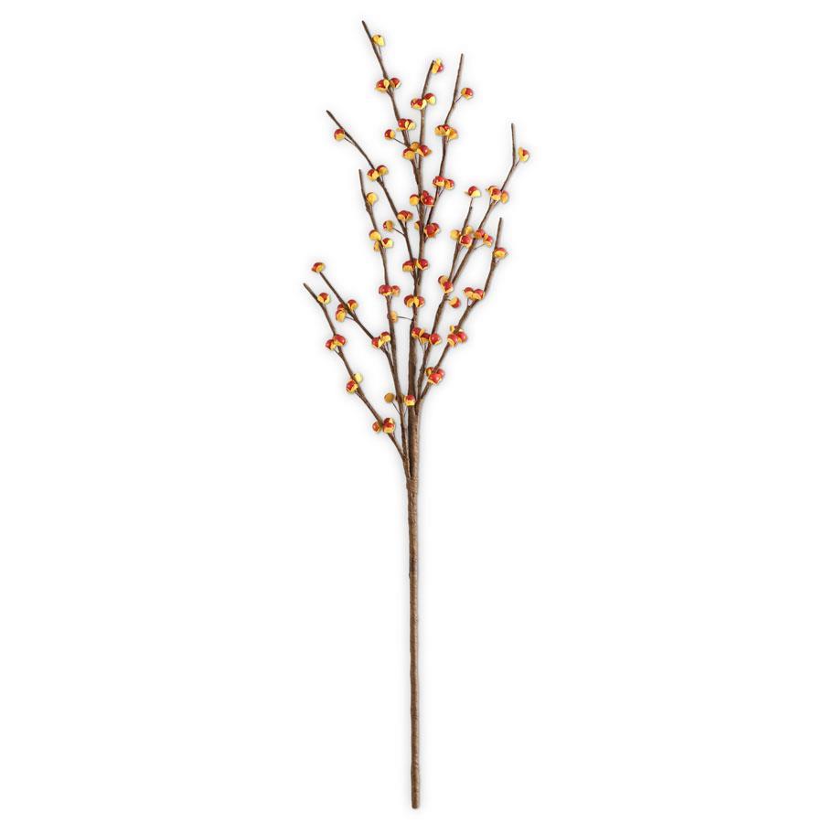 Bittersweet Stem - 31.5"