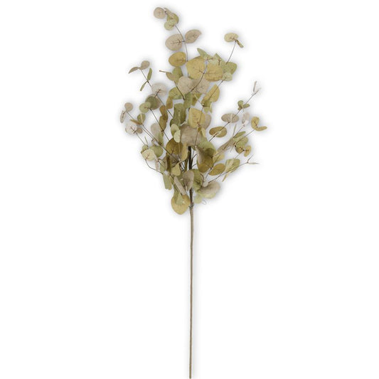 Eucalyptus Stem - Two-Tone Green, 36"