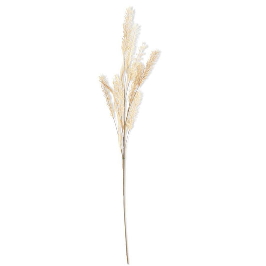 Natural Pampas Grass Spray - 35"