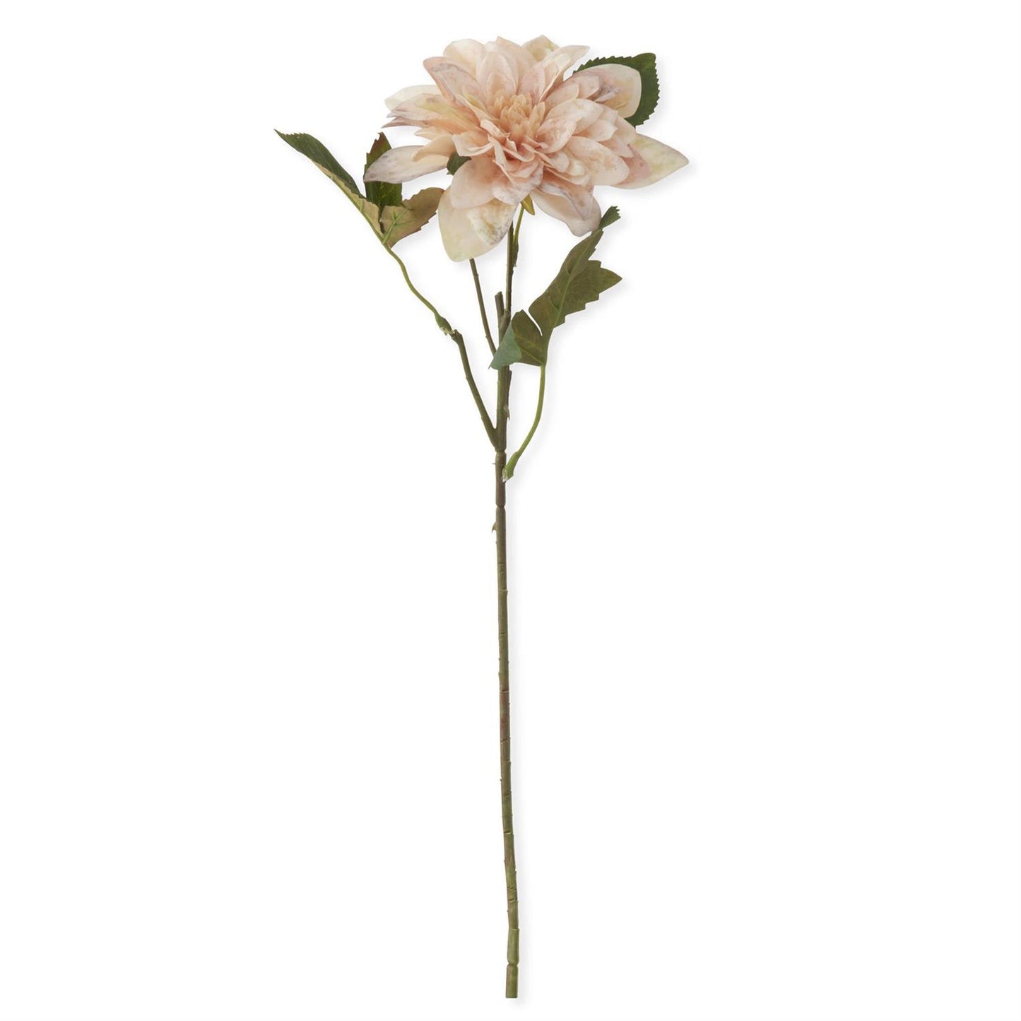 Cream Real Touch Dahlia Stem - 16"