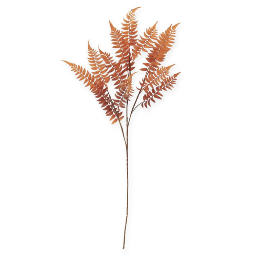 Orange W/Brown Speckles Lady Fern Spray - 39"