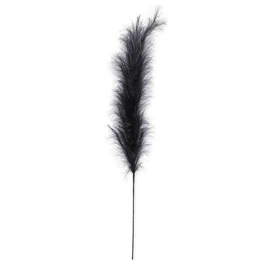 Black Pampas Grass Stem - 58.5"