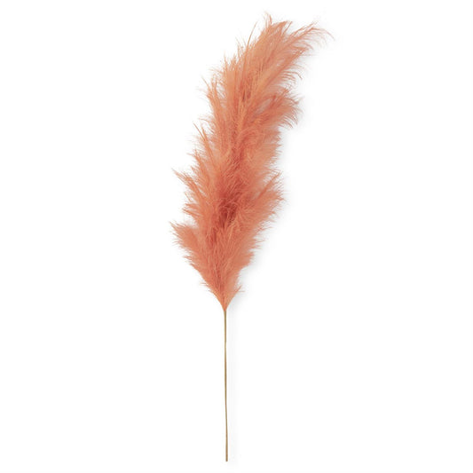 Orange Pampas Grass Stem - 58.5"