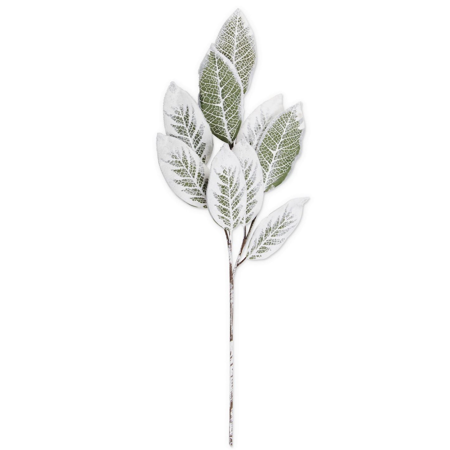 Flocked Magnolia Leaf Stem - 36"