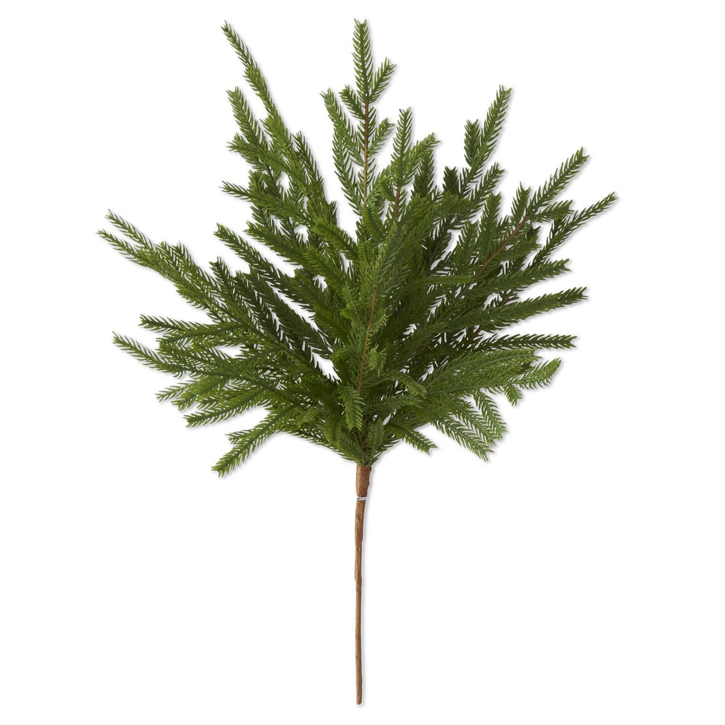Real Touch Norfolk Pine Stem - 19"