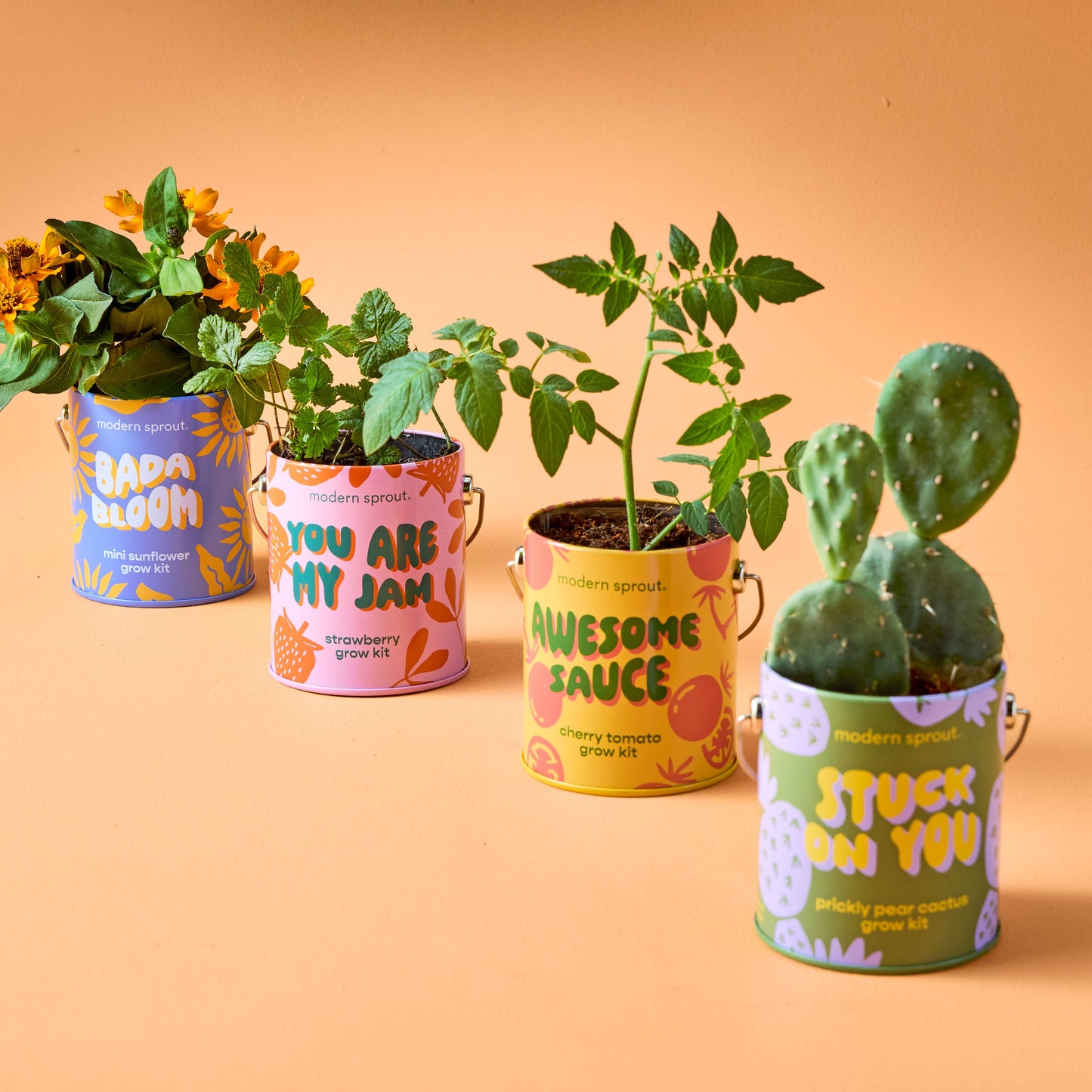 Complimentary Color Grow Kit: Stuck on You