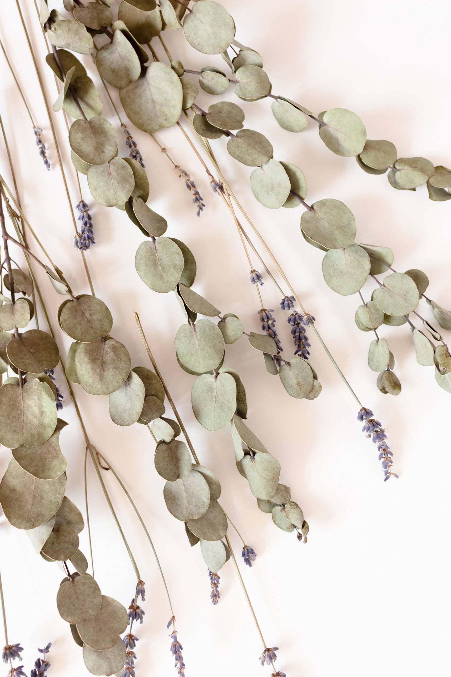 Eucalyptus Lavender | 7 oz Classic Statement Candle