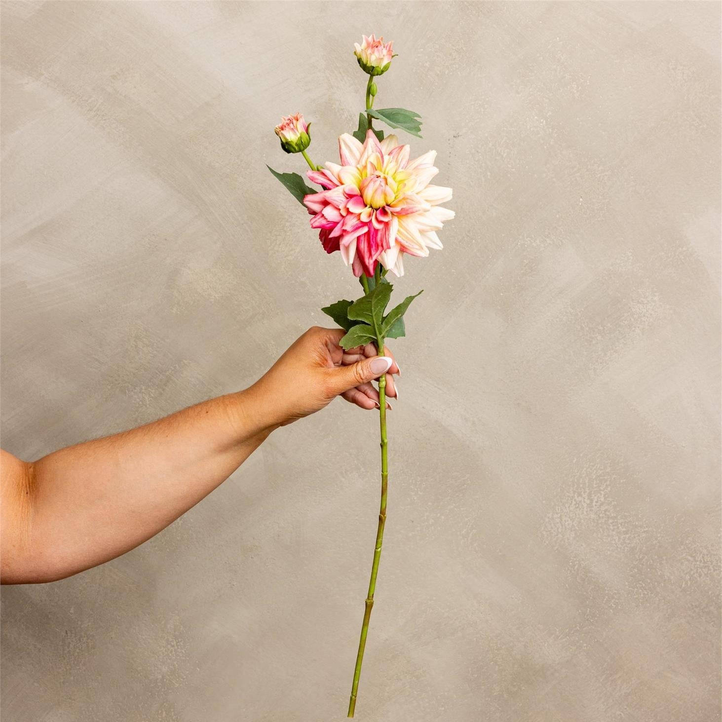 Hand holding a bouquet of pink and white flowers against a beige background