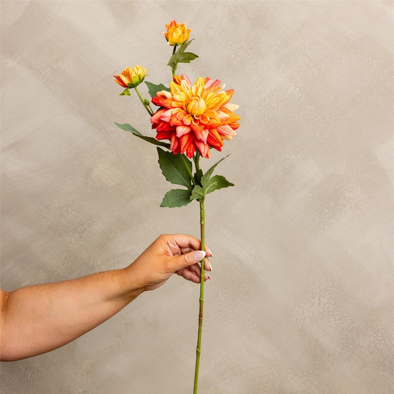 A hand holding a long-stemmed artificial dahlia flower with orange, yellow, and red petals and green leaves, set against a textured beige background.