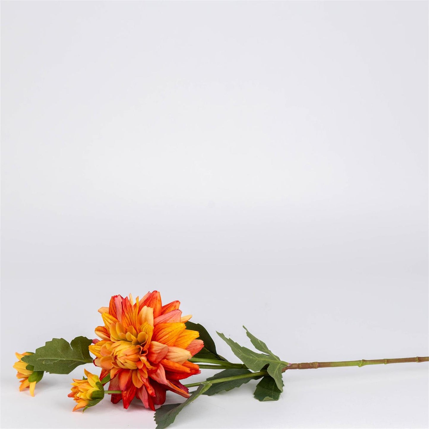 A single artificial-looking dahlia-style flower stem with green leaves, positioned low in the frame on a plain light gray background.