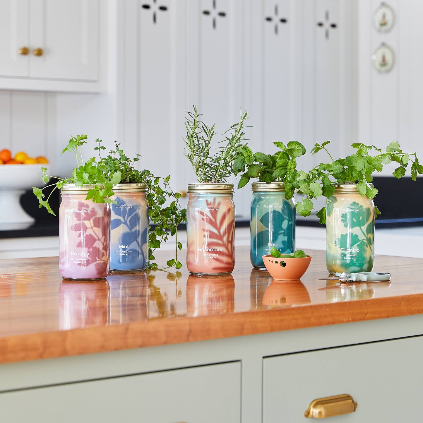Herb Garden Jar: Basil