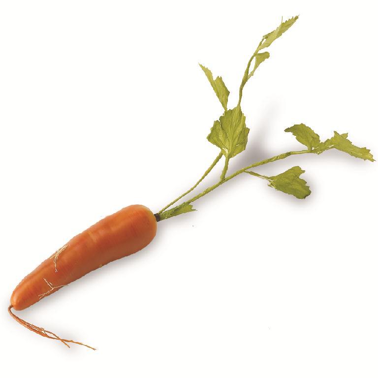 Long Carrot - Orange, 17"