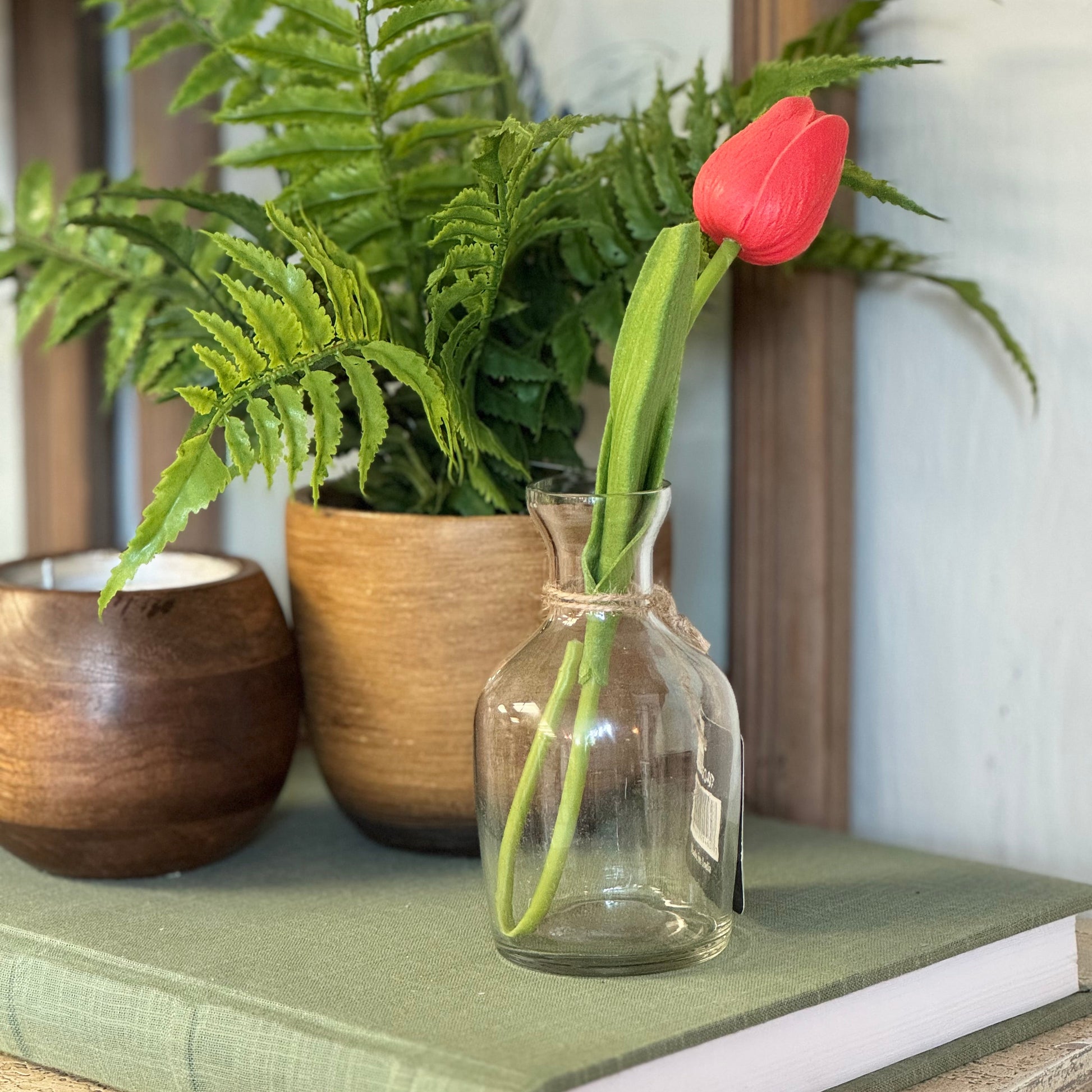 A small clear glass bottle vase holding a single red tulip stem, styled on top of a green book next to potted ferns in wooden pots.