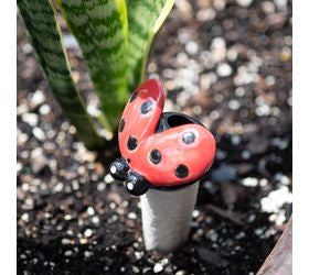 Ceramic Ladybug Pot Stake Waterer - 6"