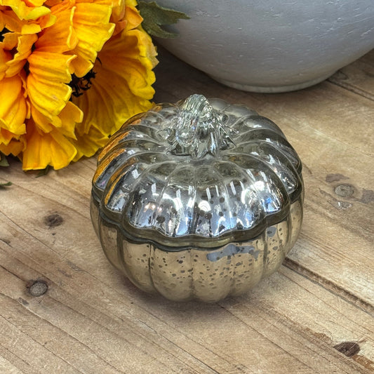 Mercury Glass Pumpkin Candle with Lid - Silver, Apple Cinnamon