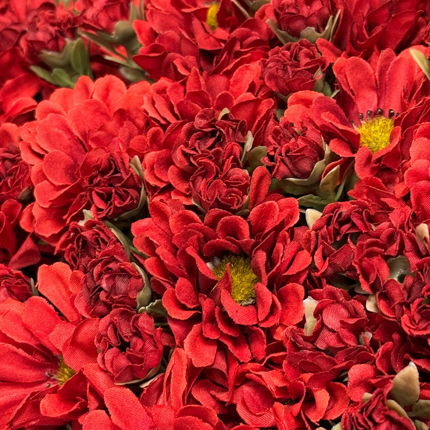 Mum Bush - Burgundy, 15"