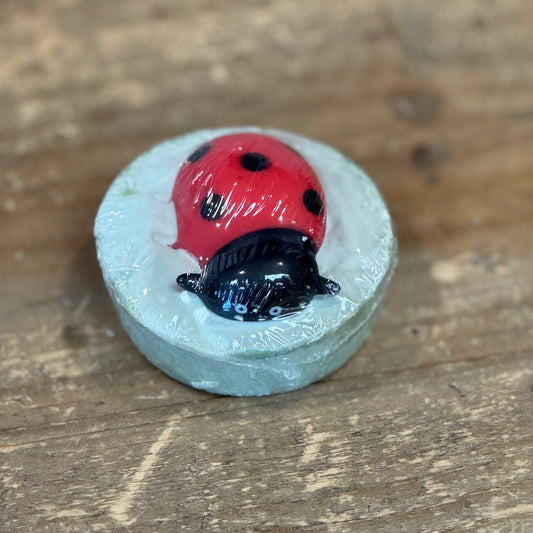 round light blue soap with a rubber lady bug toy on it.