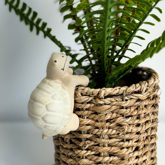 Turtle Pot Hanger - Cream