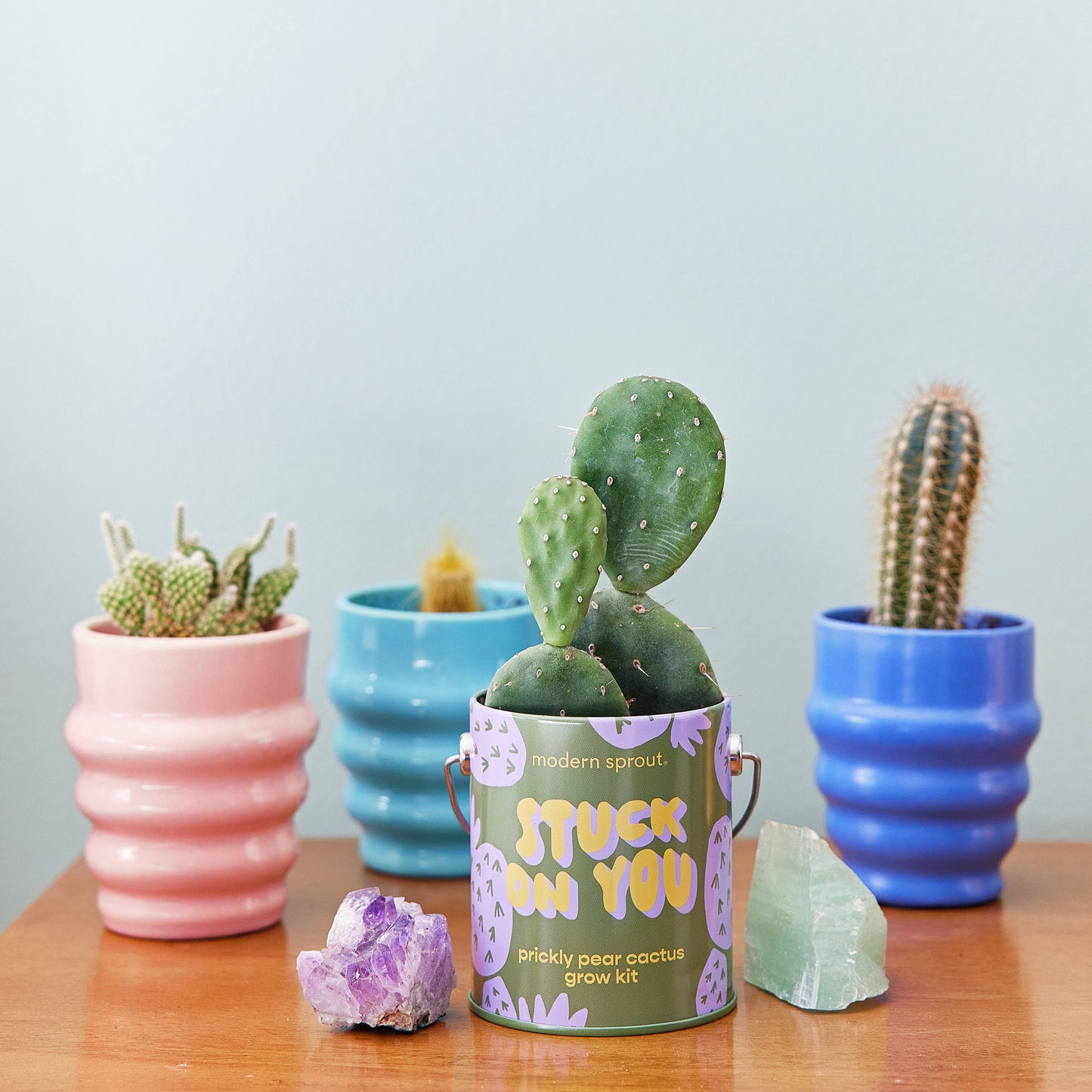 Complimentary Color Grow Kit: Stuck on You