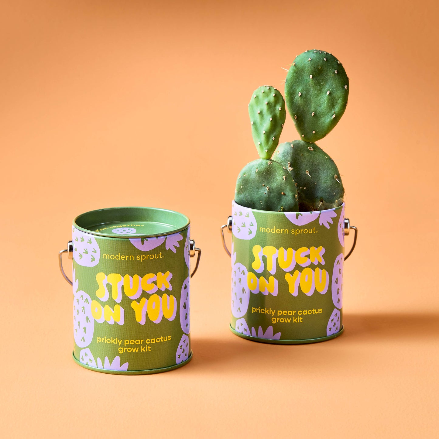 Complimentary Color Grow Kit: Stuck on You