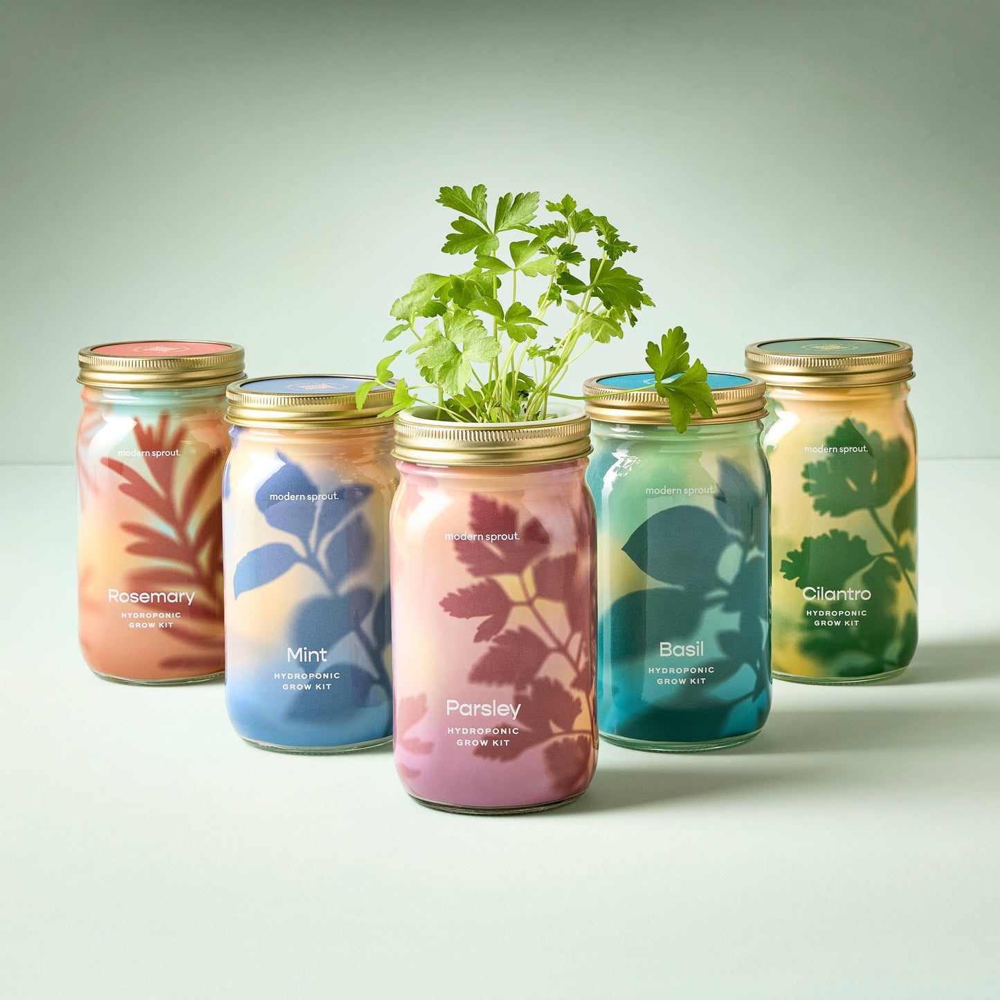 Herb Garden Jar: Rosemary