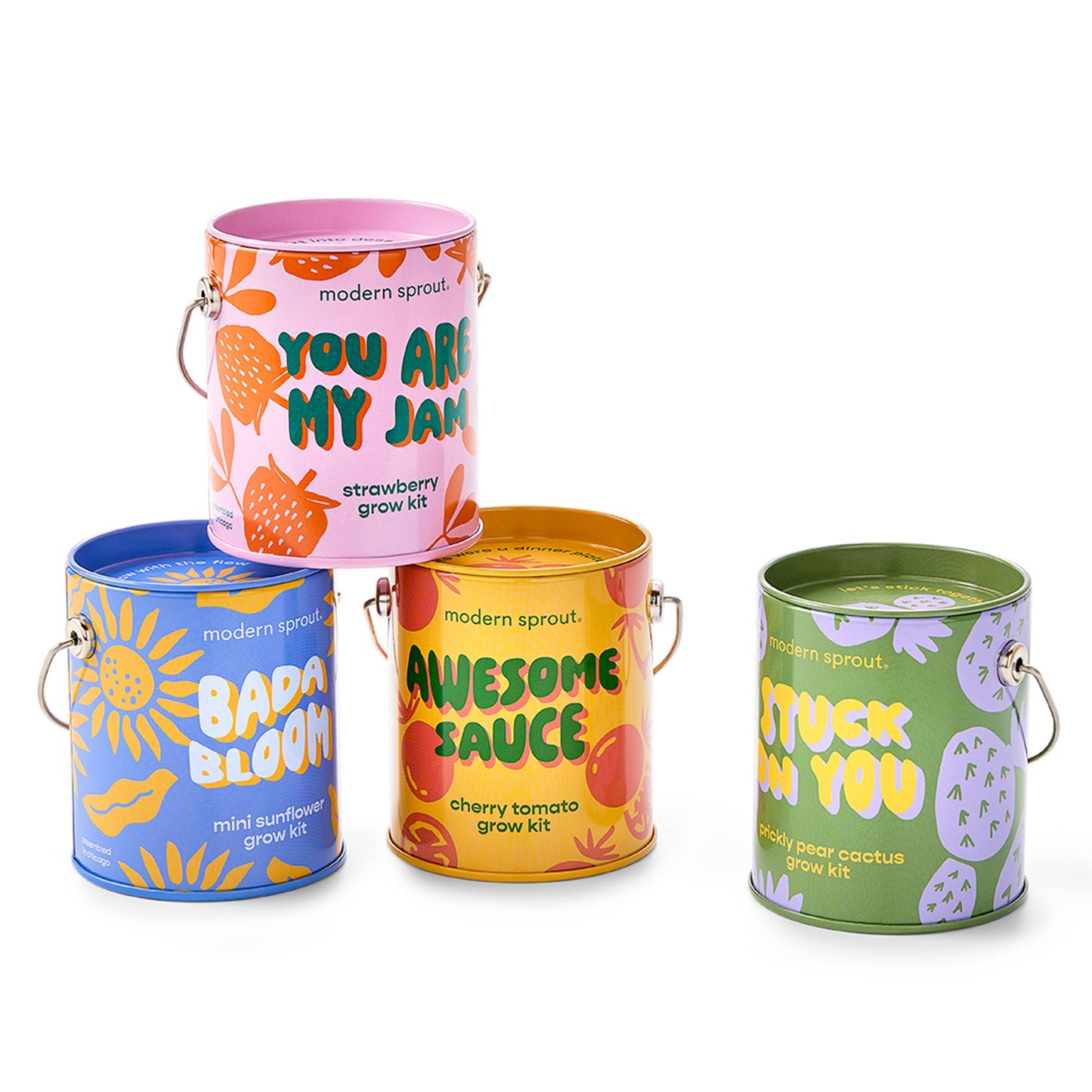 Mini Sunflower Grow Kit: Bada Bloom